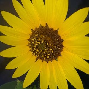 Meet your Posher, Nj